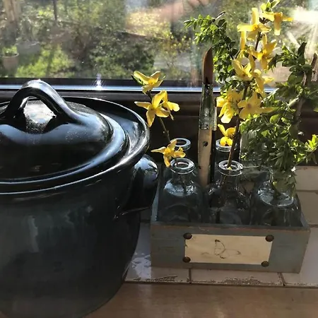 別荘 Lesna 6 - House With A Garden Bolechowice