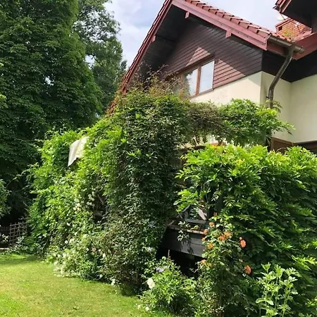 Lesna 6 - House With A Garden *