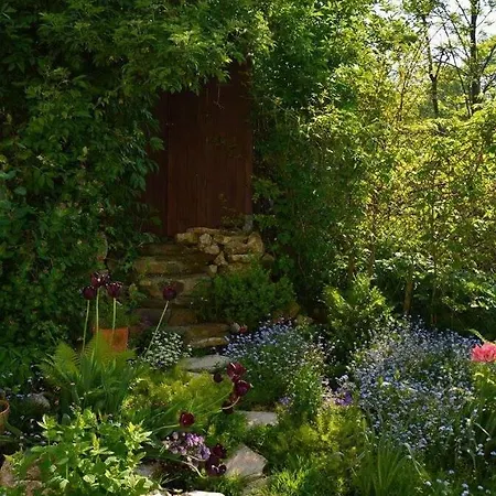 House With A Garden *