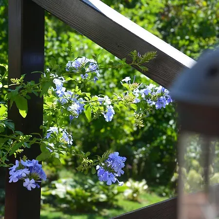 House With A Garden * Bolechowice