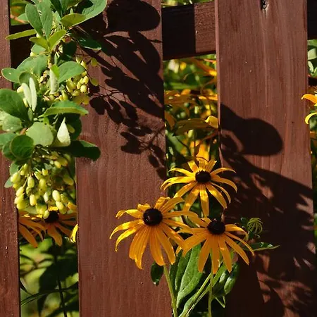 Lesna 6 - House With A Garden Bolechowice